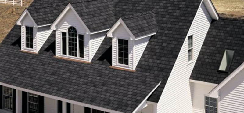2021 exterior home trends dark color roofing