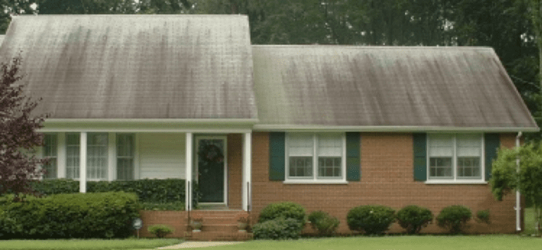 how much will it cost to replace my roof