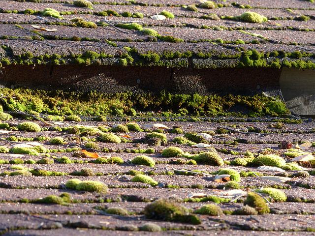 Old shingles are among the most common causes of roof leaks.