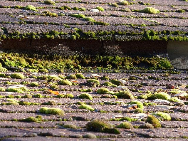The 5 Most Common Causes of Roof Leaks - Unified Home Remodeling Old shingles are among the most common causes of roof leaks.