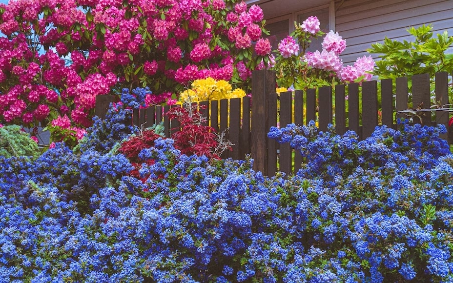 Top Tips For Keeping Your Garden In A Pristine Condition - Unified Home Remodeling Unified Home Remodeling - Call Us At 1-888-631-2131