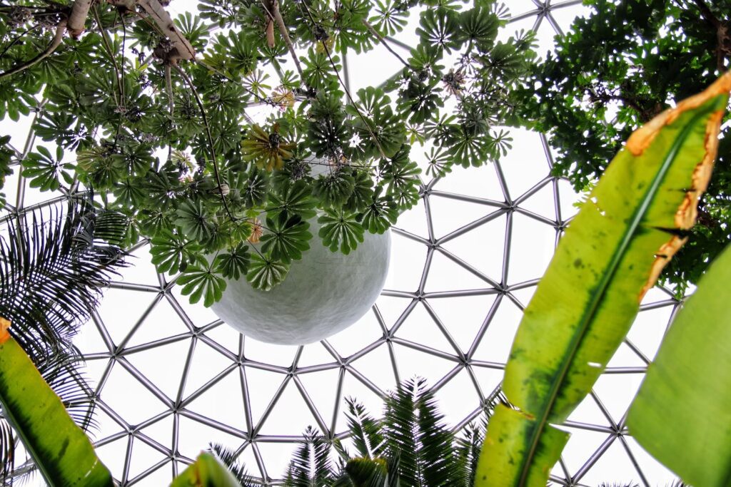 How to Make the Most of Your Home's Conservatory Space - Unified Home Remodeling Conservatory Space