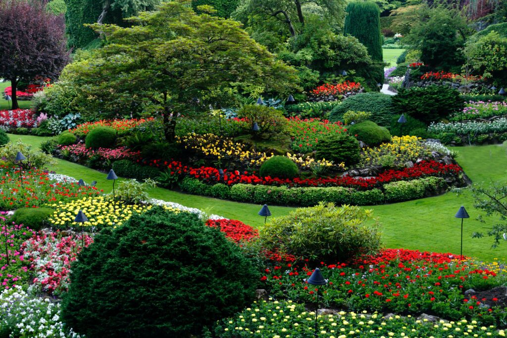 Revamping Your Landscape from Scratch: All the Things That You Need - Unified Home Remodeling Landscape