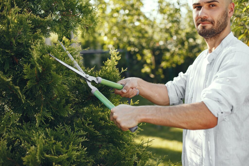 Protect Your Home from Pests with These Tips - Unified Home Remodeling Pests