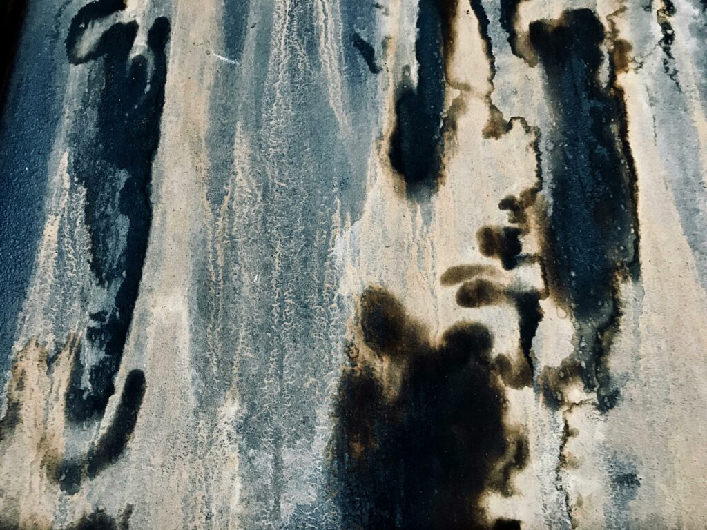 Mold No More: Essential Techniques for Eradicating Mold from Your Home - Unified Home Remodeling Mold