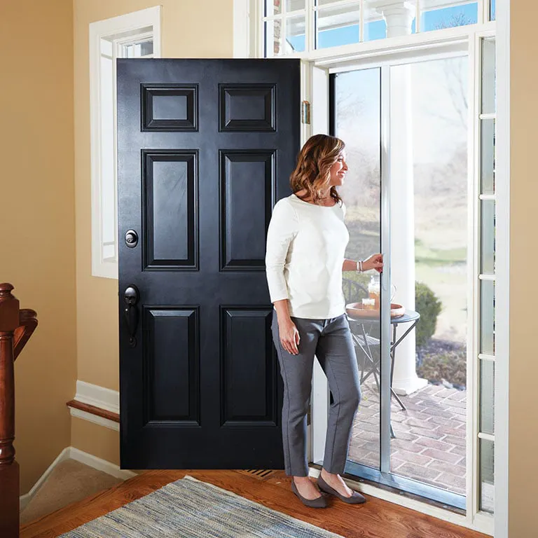 Retractable insect screen door