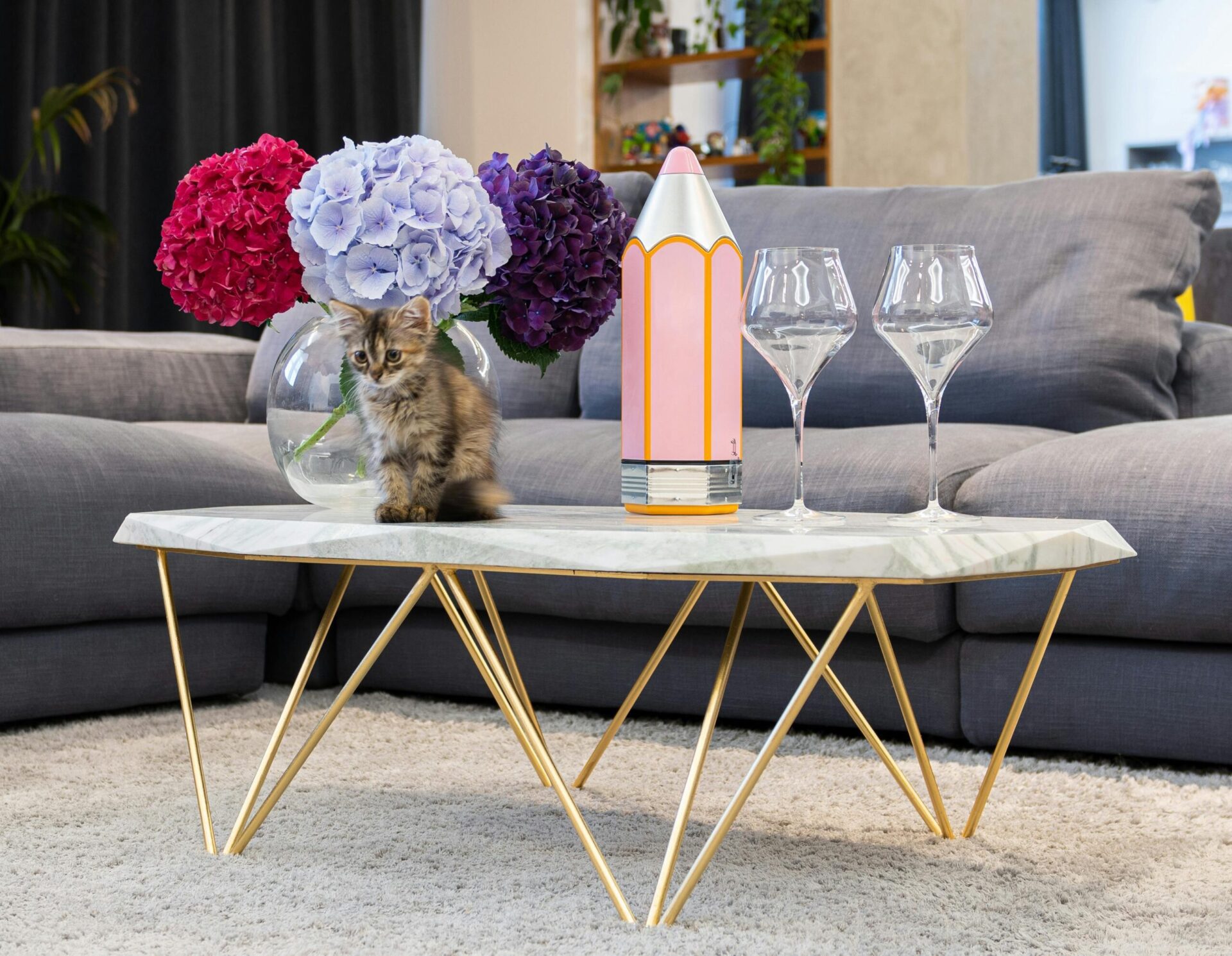 Interior Designer