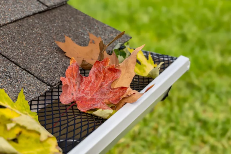 Fall siding maintenance showing leaves on a gutter guard.