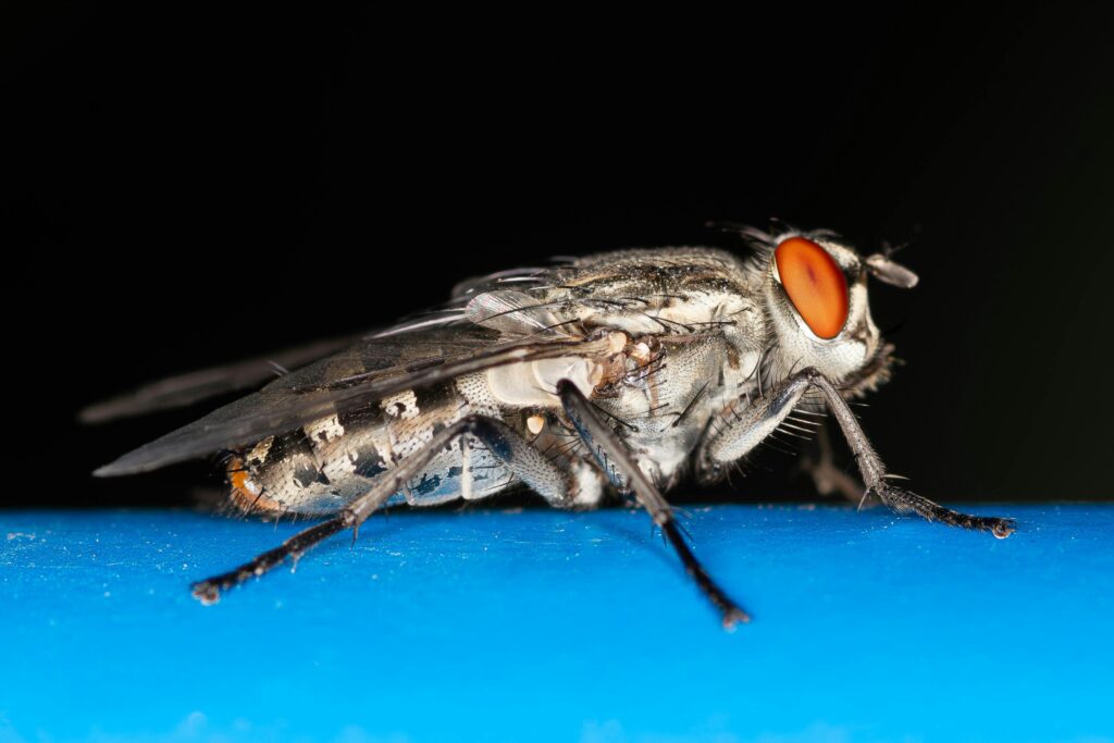 Unified Home Remodeling - Call Us At 1-888-631-2131