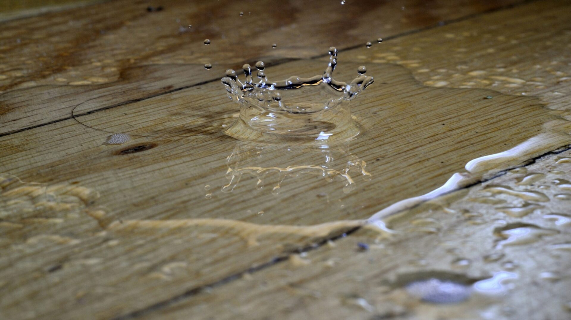 Water Damage