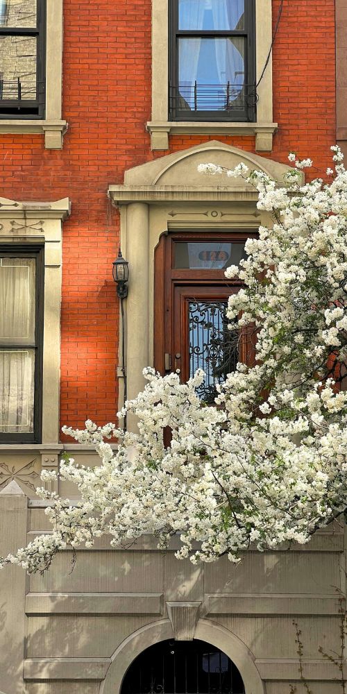Brooklyn brownstone home windows