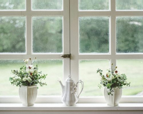 Window